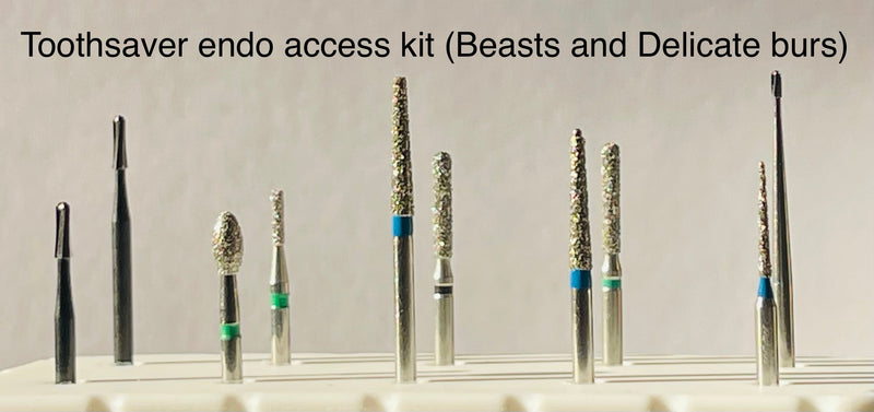 Endo access burs (beasts and refined).